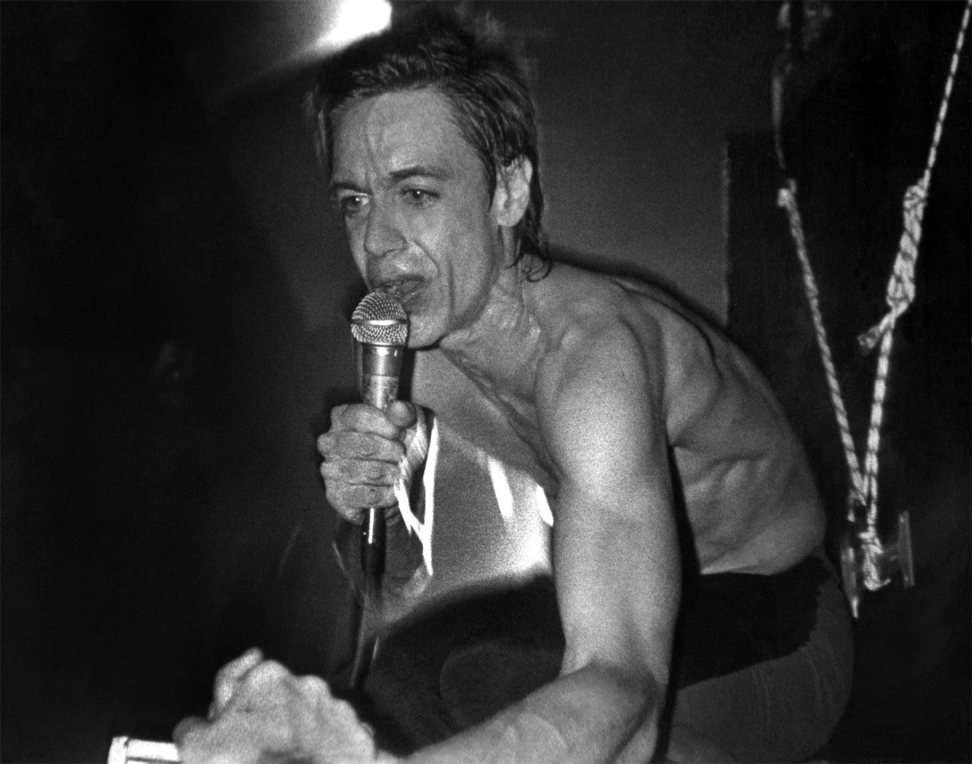 Iggy Pop Baseball Shirt.